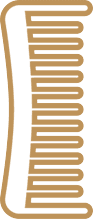 Comb Icon